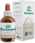 European Olive 50 ml