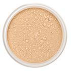 Mineral Foundation Spf 15 Warm Honey 10 gr