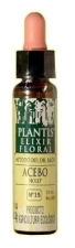 Plantis 15 Holly 10 ml