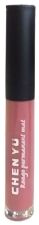 Fixed Rouge matte lipstick 106