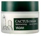 Cactus Cream 50 ml